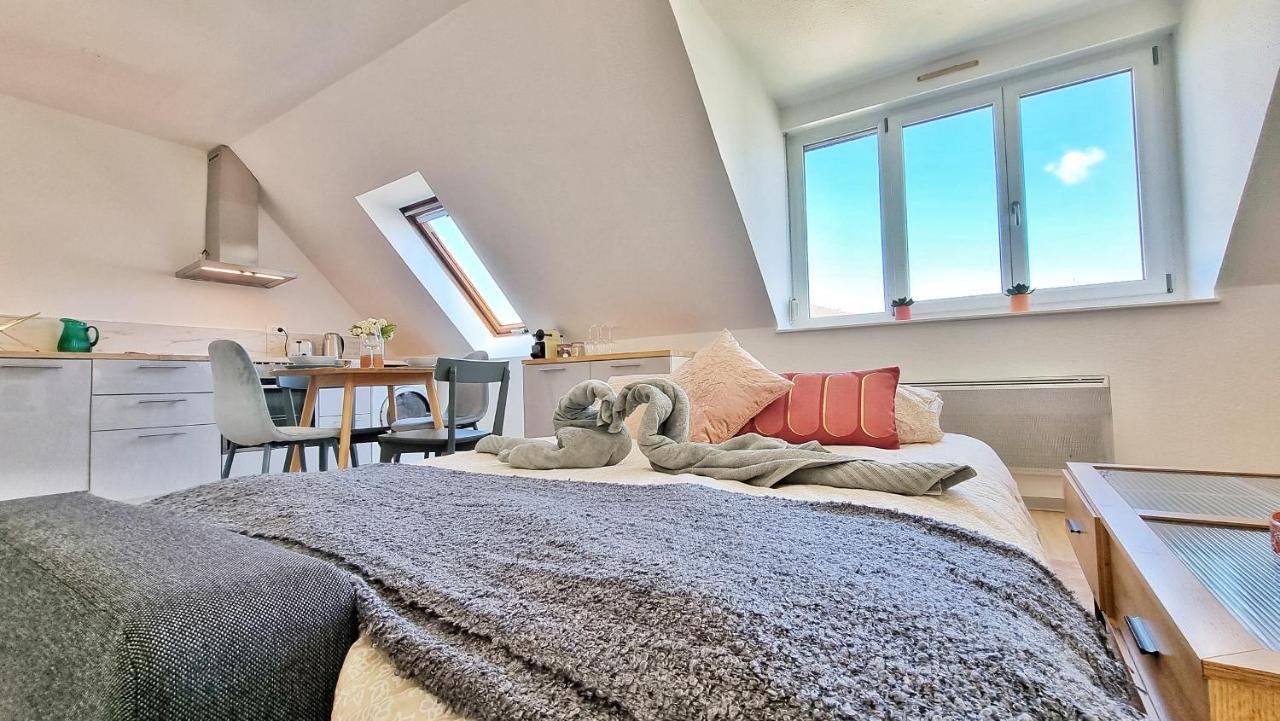 Colmar Mon Amour-Chic-Garage-Fibre-Rbnb 外观 照片